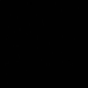 Meet your Posher, Brantley